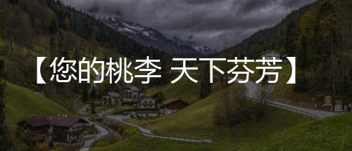 【您的桃李 天下芬芳】庄帅帅:特别的爱给特别的你
